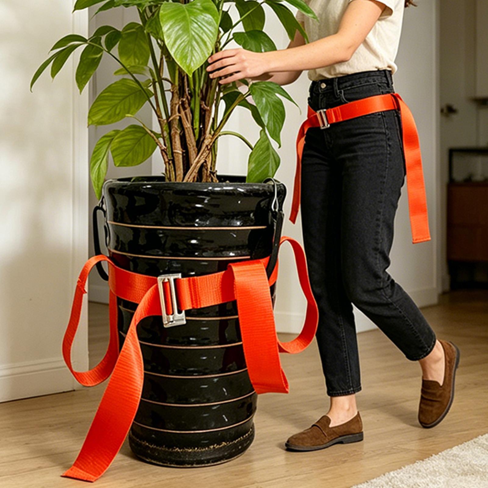 Sangle de levage pour aménagem - Lifting Belt avis et prix